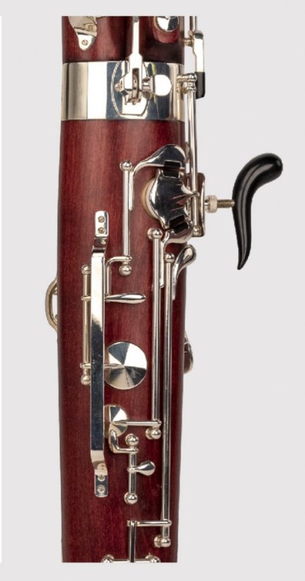 Thore Fagot Professional